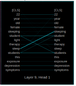 RI Phase 3 Visualization